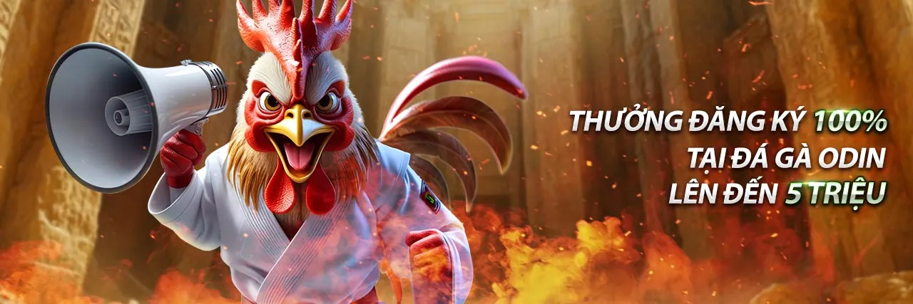 Điều Khoản Dịch Vụ x111 đăng nhập 2026